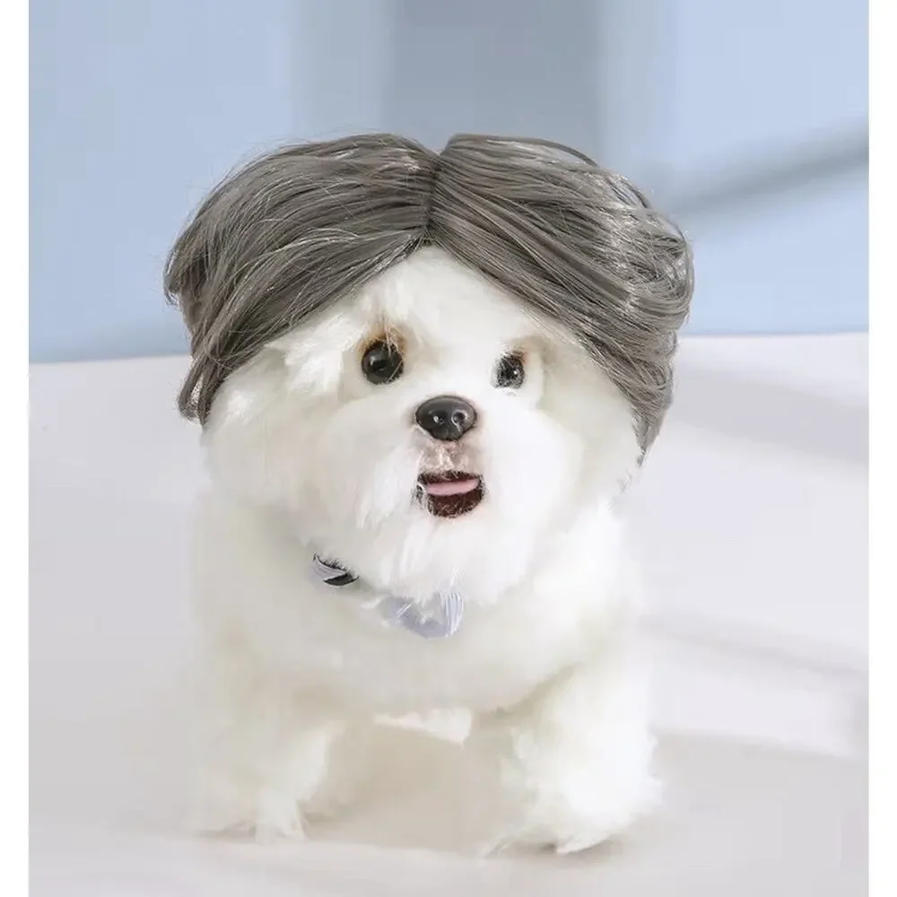 2 Pack TESSVEYA Pet Cosplay Wigs Dog Cat Costume Hairpieces Dark Grey New